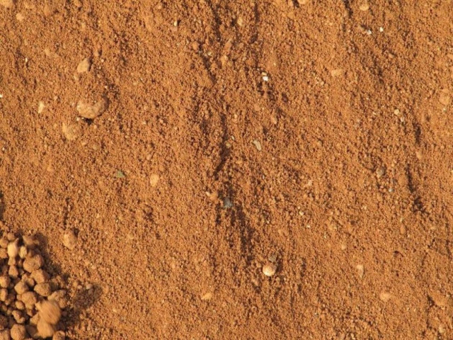 Δείτε τι κρατούσε θαμμένο πέντε χρόνια για να πάρει αποζημίωση