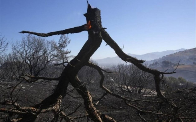 Πυρκαγιά στην Ηλεία