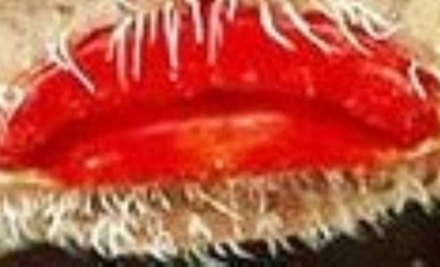 Δείτε σε ποιον ανήκουν αυτά τα κόκκινα «τριχωτά» χείλη!