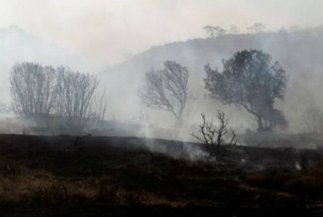 Σε ύφεση τα πύρινα μέτωπα σε Ηλεία και Άνδρο
