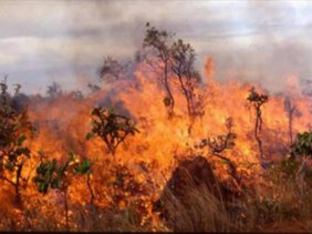 Κρήτη: Σε ύφεση η φωτιά στο Ρέθυμνο