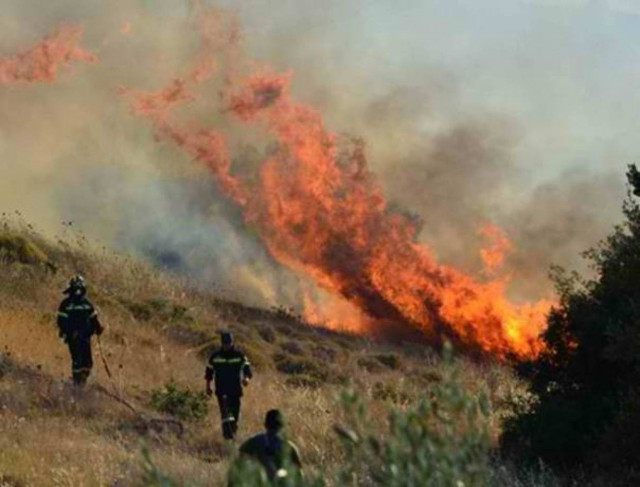 Σε εξέλιξη φωτιά στα Άνω Δολιανά Αρκαδίας