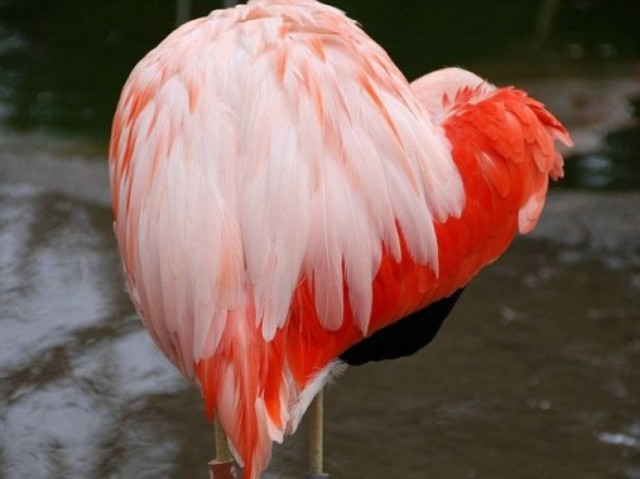 Κάνει θραύση στο διαδίκτυο: Η προσευχή των ερωτευμένων!