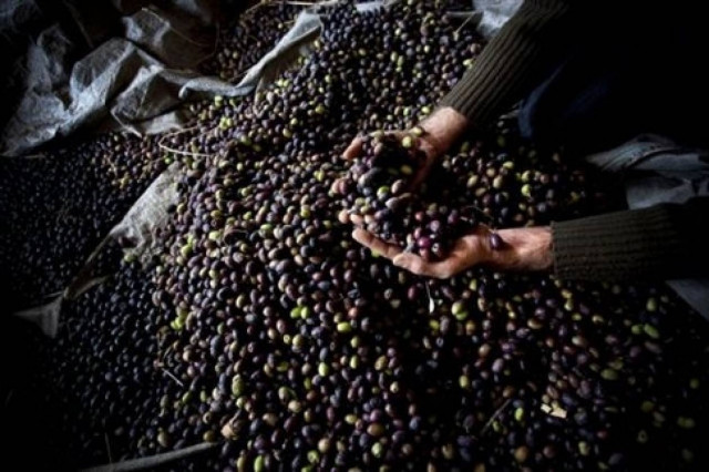 Ελληνικός Δεκαπενταύγουστος στο γαλλογερμανικό κανάλι ARTE
