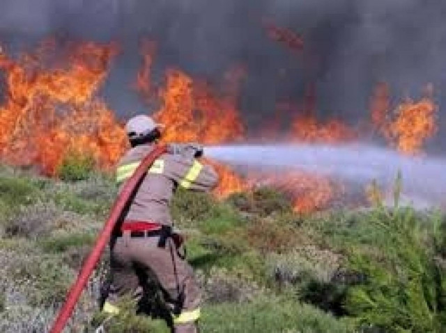 Σε εξέλιξη πυρκαγιά στην Ανάβρα Μαγνησίας