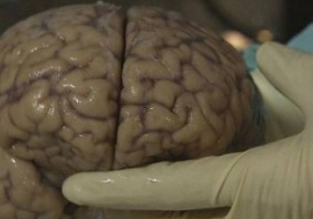 Τι συμβαίνει τη στιγμή του θανάτου μας;