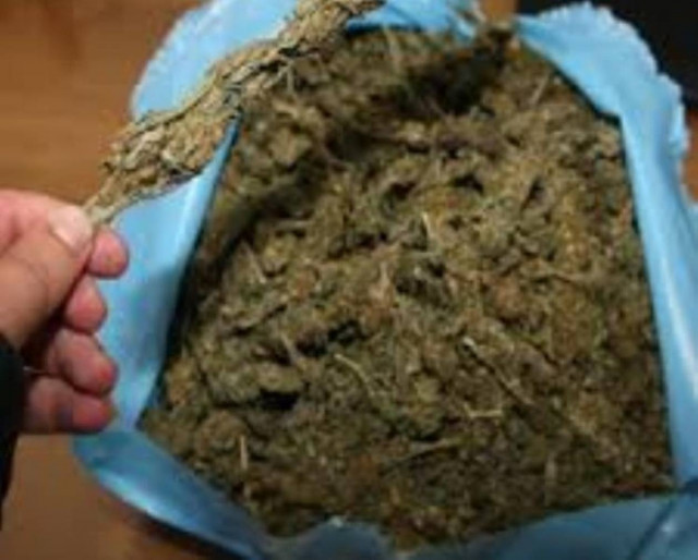 Δε φαντάζεστε τι σκαρφίστηκε για να γλιτώσει την αστυνομική έρευνα