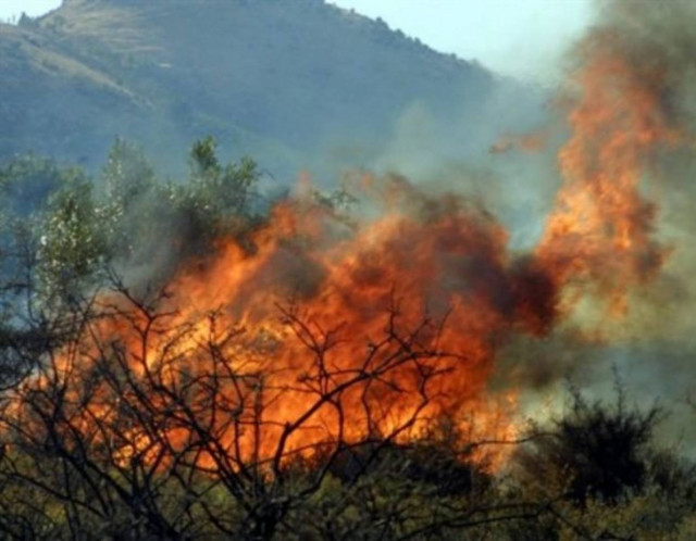 Πολύ υψηλός κίνδυνος πυρκαγιάς και την Κυριακή