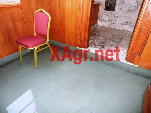 Χρυσή Αυγή: Κατσαρίδες και πλημμυρισμένες αίθουσες στη Βουλή!