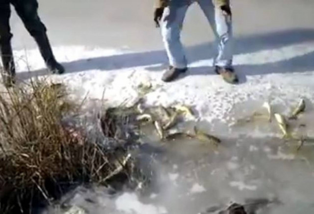 Ψάρεμα χωρίς πετονιές και δολώματα