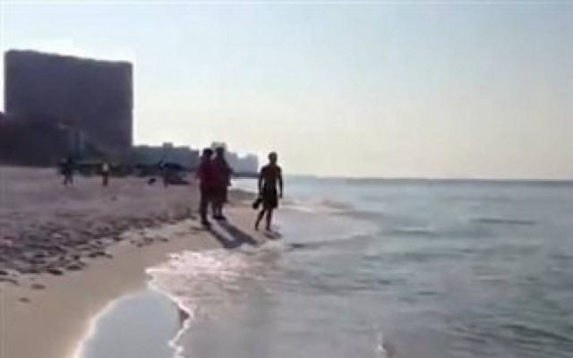 Βίντεο: Ένας καλός λόγος για να... μην κολυμπήσεις!