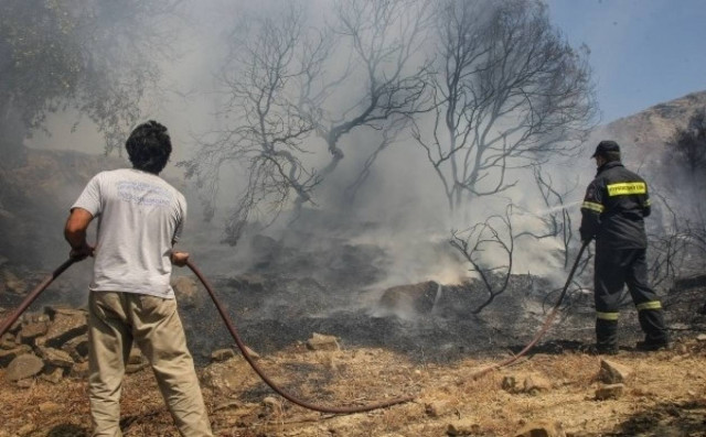Υπό μερικό έλεγχο η πυρκαγιά στην Μεσσηνία