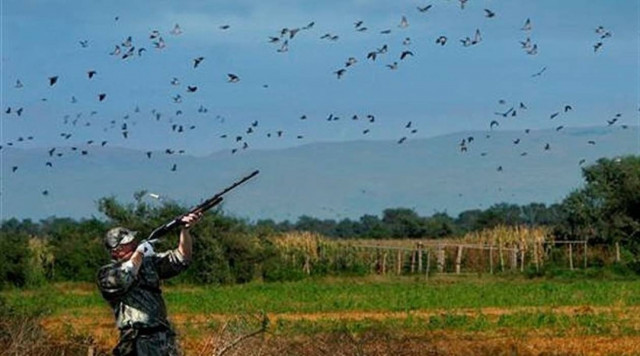 Αρχίζει σήμερα η κυνηγετική περίοδος – Τι επιτρέπεται, τι απαγορεύεται
