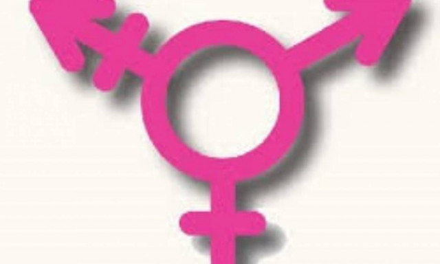 Γερμανία: Γεγονός το τρίτο φύλο στα πιστοποιητικά γέννησης