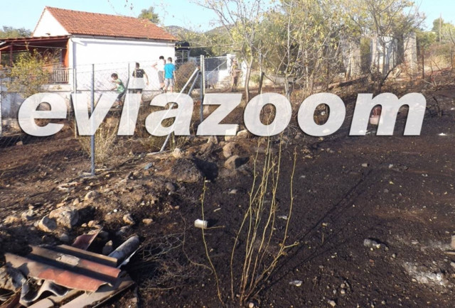 Εύβοια: Πυρκαγιά στους Αγίους Αναργύρους (pics-vid)