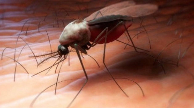 Μάθε γιατί σε τσιμπάνε τα κουνούπια!