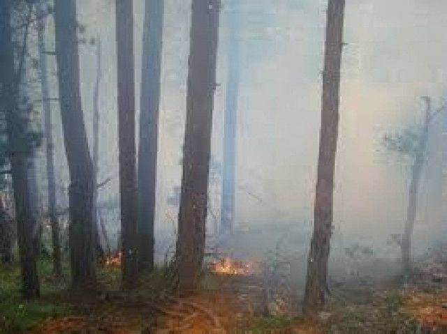 Σε εξέλιξη η φωτιά στον Όλυμπο