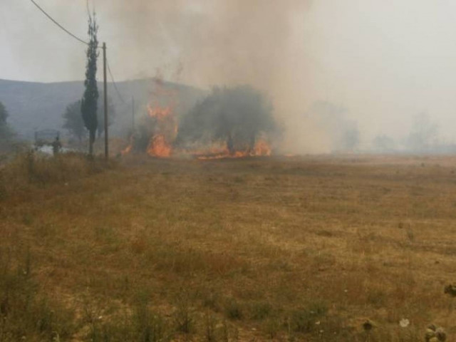 Περιορίστηκε η φωτιά στον Όλυμπο