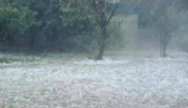 Στην Καβάλα κλιμάκιο του ΕΛΓΑ