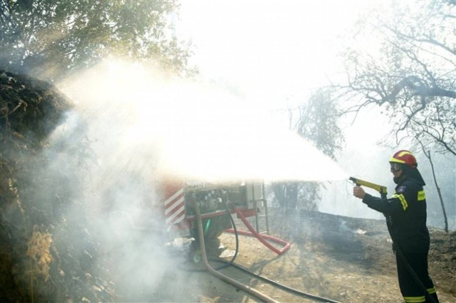 Υπό μερικό έλεγχο η φωτιά στην Κεφαλονιά