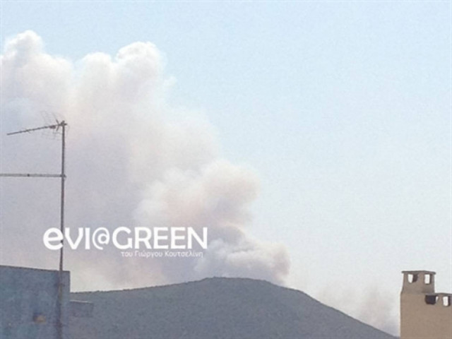 Φωτιά και στα Ψαχνά Ευβοίας! (pics)