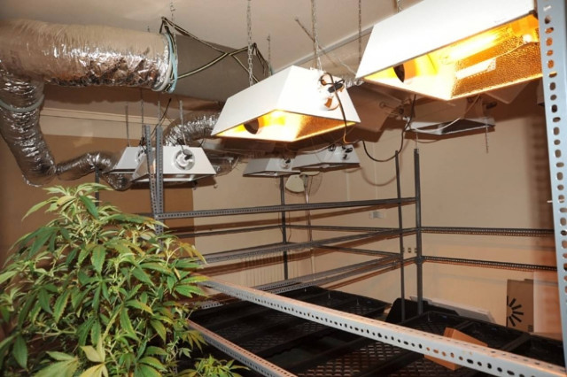 Οργανωμένο εργαστήριο υδροπονίας στο Παλαιό Φάληρο