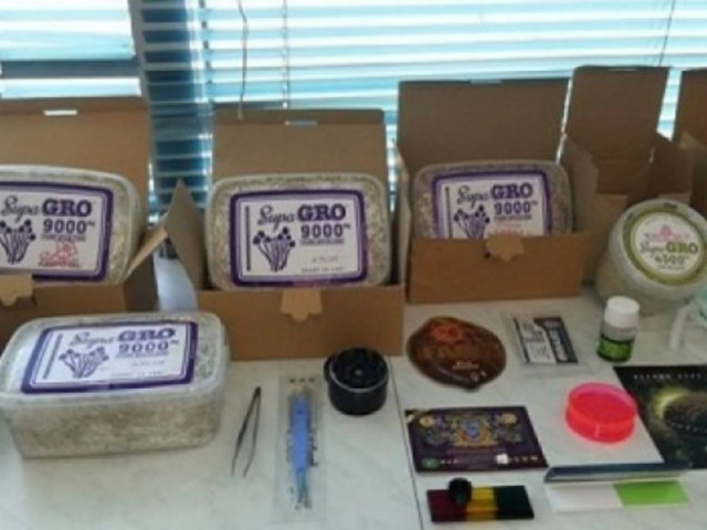 Σήμερα απολογείται ο ανήλικος με τα... μαγικά μανιτάρια