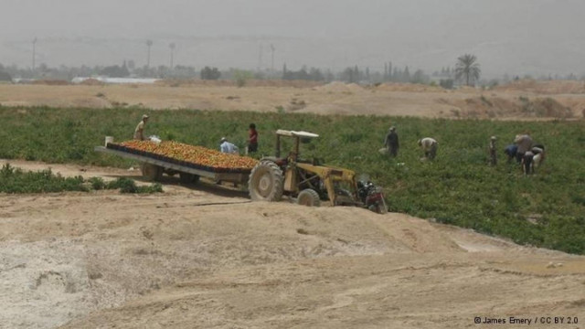 Απίστευτο! Oπωροκηπευτικά από την καρδιά της ερήμου!