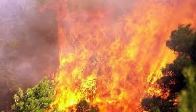 Πάτρα: Συνελήφθη 59χρονος για εμπρησμό