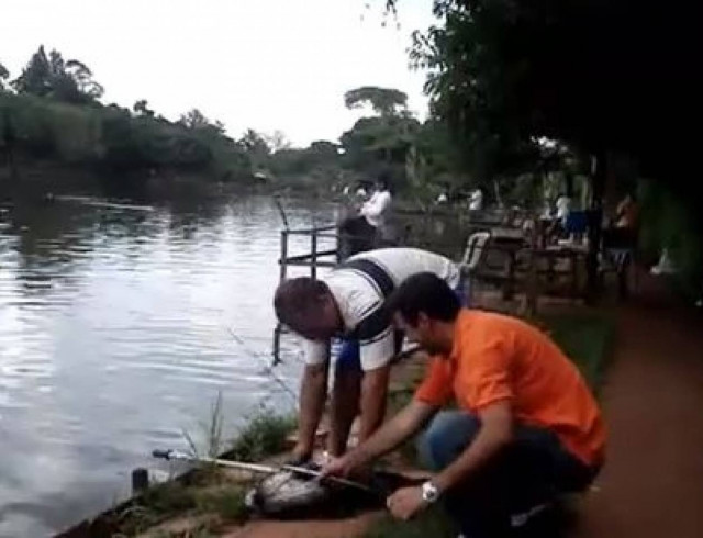 Ψάρι χαστουκίζει ψαρά