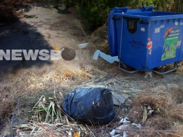 Ραφήνα: Ψυχασθενής και ελεύθερος ο δολοφόνος με πριόνι