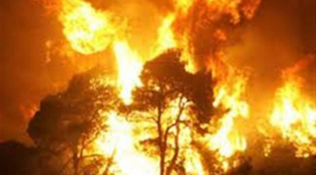 Πύρινος εφιάλτης στα χωριά της Λιβαδειάς-Εκκενώθηκε γηροκομείο