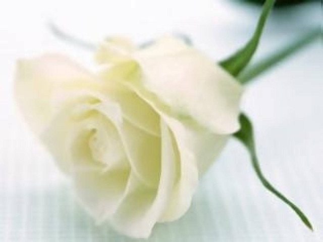 Πάτρα: Θρήνος για τον άτυχο 30χρονο Σωτήρη