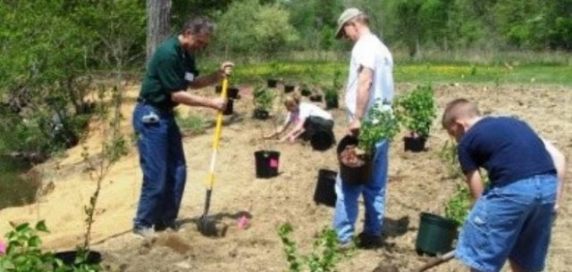 Πράσινη ευαισθησία αποκτά η πόλη των Χανίων
