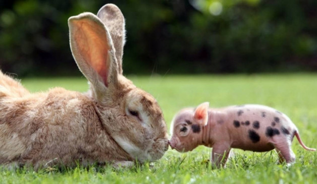 Ακόμα μία ξεχωριστή φιλία!