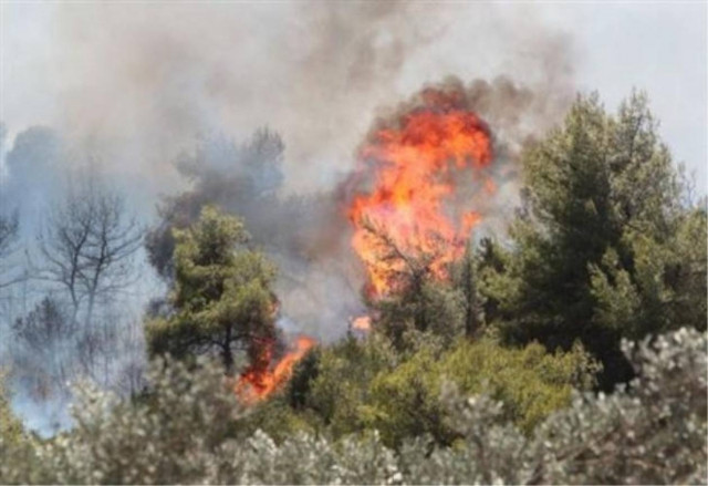 Δείτε τις περιοχές με υψηλό κίνδυνο πυρκαγιάς την Κυριακή