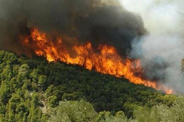 Πυρκαγιά στη θέση Μεσοπόταμος του Δήμου Πάργας