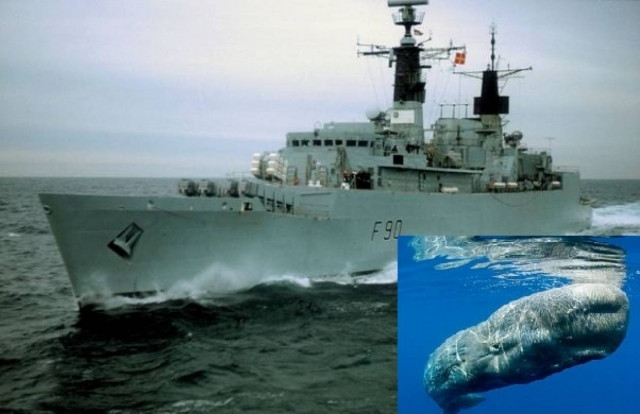 Πέρασαν τις φάλαινες για υποβρύχια και εξαπέλυσαν τορπίλες!