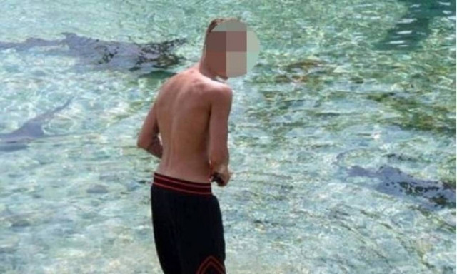 Δεν πίστευε στα μάτια του! Η θάλασσα ήταν γεμάτη με μικρούς καρχαρίες!