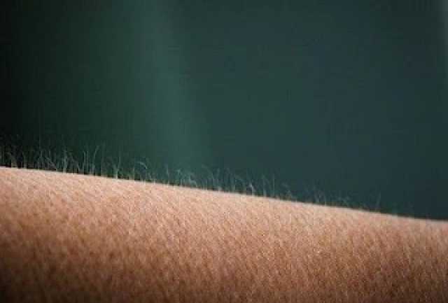 Γιατί σηκώνεται η τρίχα μας όταν αντιμετωπίζουμε ακραίες καταστάσεις;