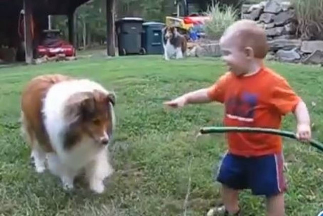 Δείτε πόσο τα σκυλιά αγαπούν τα παιδιά!