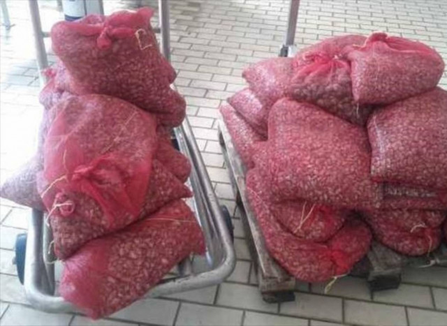 Αλεξανδρούπολη: Συλλήψεις για διακίνηση μεγάλης ποσότητας οστράκων