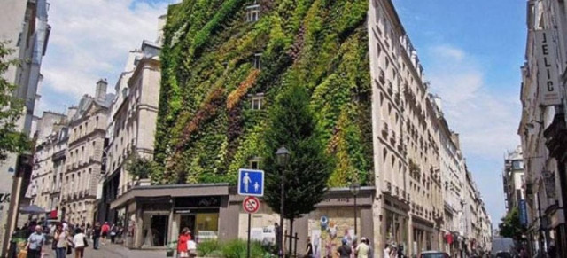Καλλιτέχνης φύτεψε κήπο σε τοίχο του Παρισιού (pics)