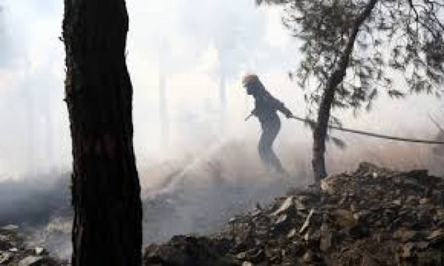 Αγρίνιο: Υπό έλεγχο η πυρκαγιά - Όλα «δείχνουν» εμπρησμό