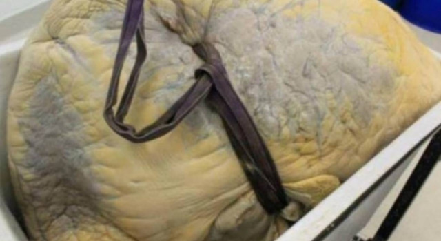 Μπορείτε να μαντέψετε τι είναι αυτό;