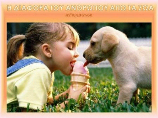 Η διαφορά του ανθρώπου από τα ζώα κατά τον Αριστοτέλη