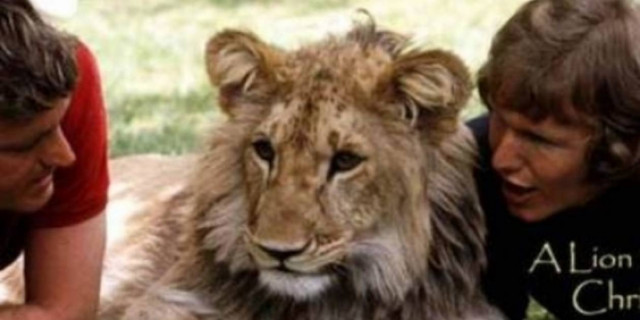 Το βίντεο που έκανε πάνω από 50.000.000 ανθρώπους να δακρύσουν!