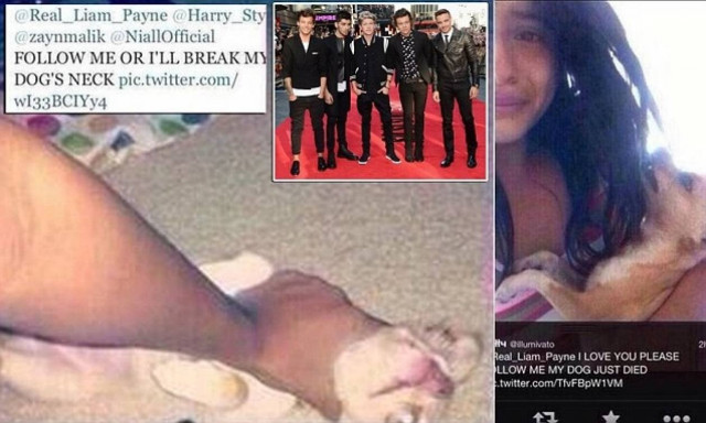 ΣΟΚ: Σκότωσε το σκύλο της για ένα follow στο Twitter