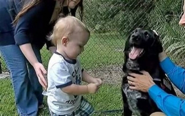 Απίστευτη ιστορία: Δείτε πώς σκύλος έσωσε ένα αγοράκι επτά μηνών