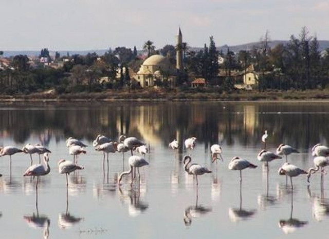 Υποψηφιότητα για βραβείο τουρισμού έθεσε η Λάρνακα